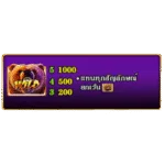 สัญลักษณ์-Wild-Roaring-wilds