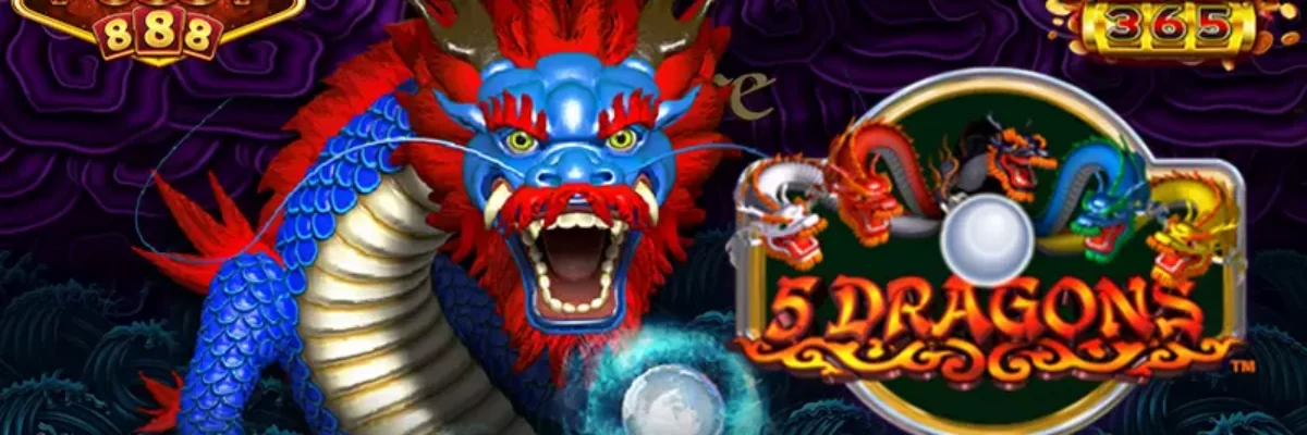 5 DRAGONS
