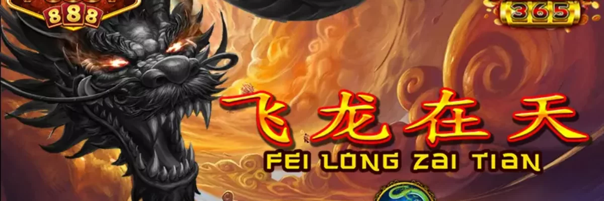 FEI LONG Zai Tian
