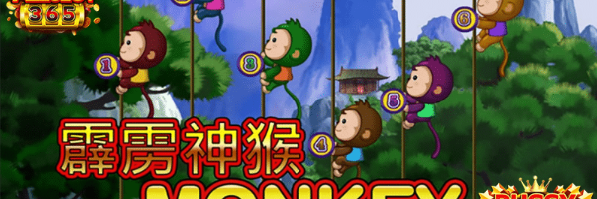 MONKEY Thunderbolt
