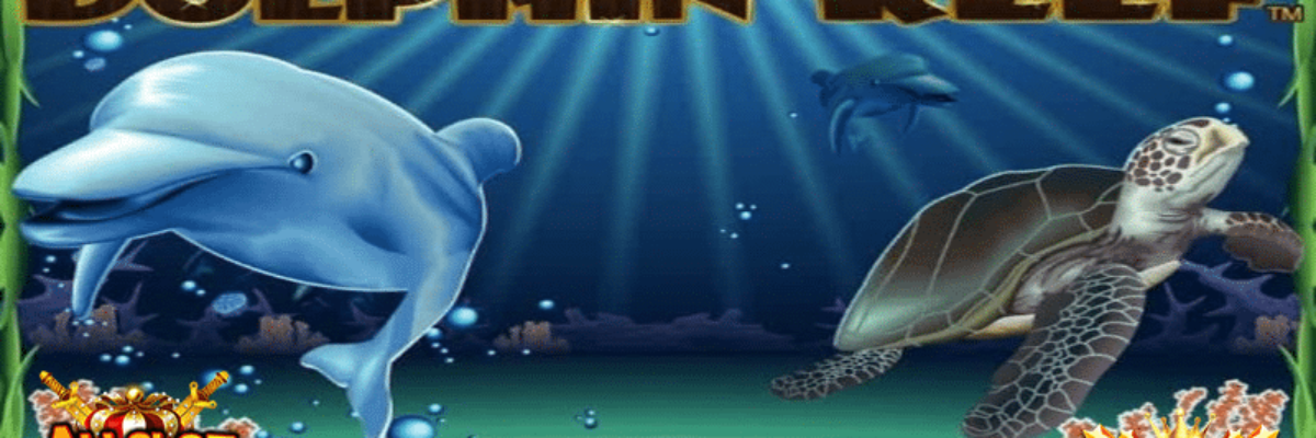 DOLPHIN Reef