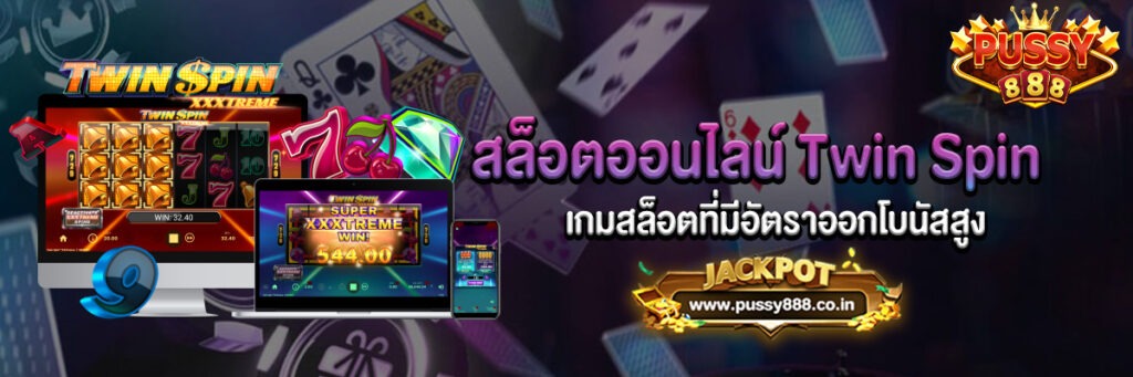 สล็อตออนไลน์ Twin Spin