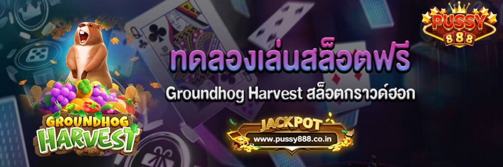 Groundhog Harvest สล็อตกราวด์ฮอก