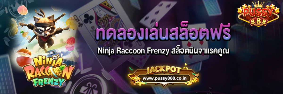 Ninja Raccoon Frenzy สล็อตนินจาแรคคูณทดลองเล่นฟรี