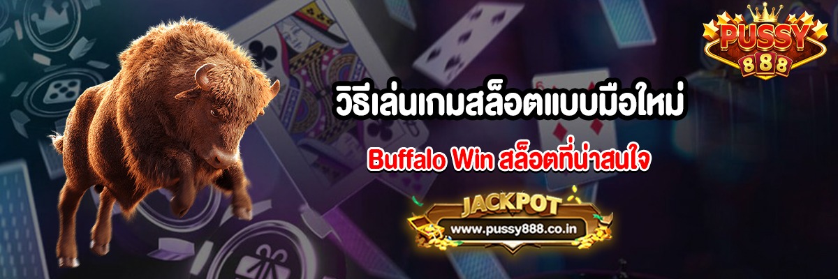 วิธีเล่นเกมสล็อตแบบมือใหม่ Buffalo Win
