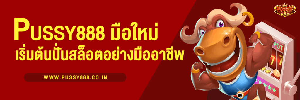 Pussy888 สำหรับมือใหม่ เริ่มต้นปั่นสล็อตอย่างมืออาชีพ - bg