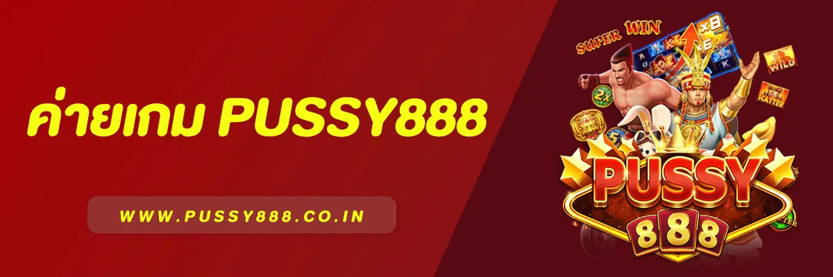 ความเป็นมาของค่าย PUSSY888