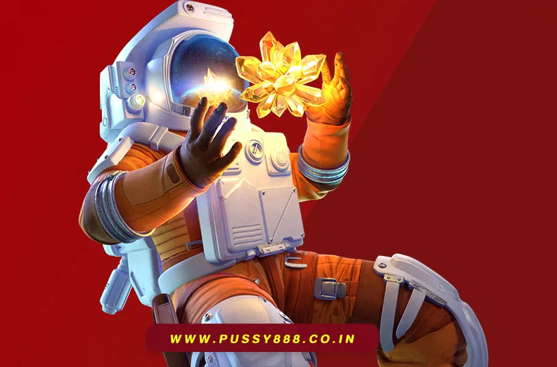 พุซซี่คือ พุซซี่คือ