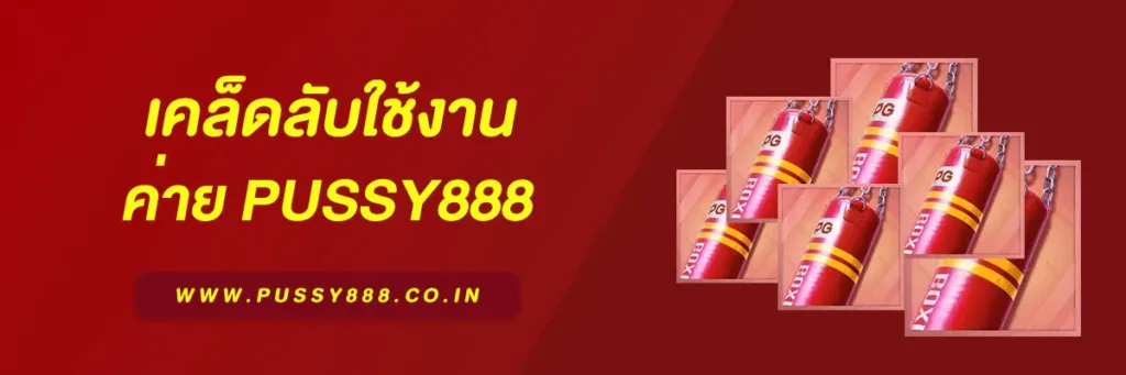 แอพ พุซซี่888