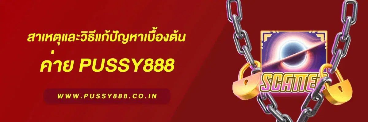 เข้าสู่ระบบพุซซี่ ไม่ได้? สาเหตุและวิธีแก้ปัญหาเบื้องต้น 2025