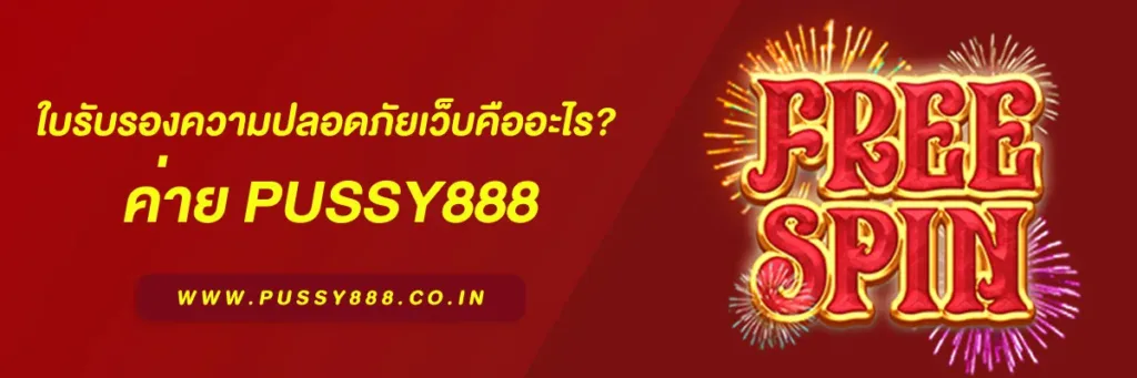 เข้าสู่ระบบ พุซซี่