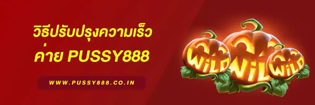 Pussy 888