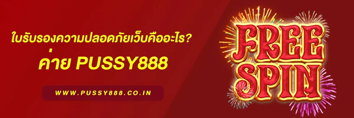 เข้าสู่ระบบ พุซซี่ ใบรับรองความปลอดภัยเว็บคืออะไร? ทำความเข้าใจระบบป้องกันข้อมูลผู้ใช้ ปี 2025