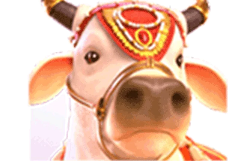 เข้าสู่ระบบพุซซี่ 