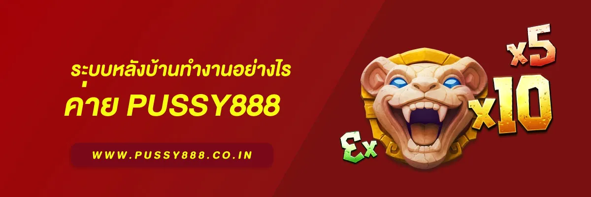 สล็อต พุชชี่888 ระบบหลังบ้านทำงานอย่างไร เบื้องหลังการให้บริการแพลตฟอร์มเกมออนไลน์