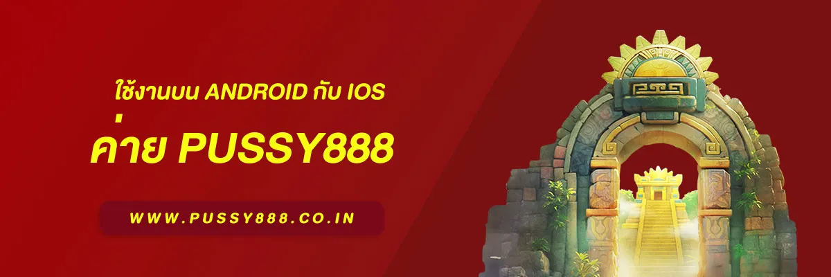 สล็อตพุชชี่ 888 ใช้งานบน Android กับ iOS ต่างกันอย่างไร เปรียบเทียบการใช้งานสำหรับผู้ใช้มือถือ