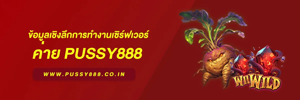 สล็อตพุชชี่ 888 ข้อมูลเชิงลึกการทำงานเซิร์ฟเวอร์ เบื้องหลังความเสถียรของระบบในปี 2026