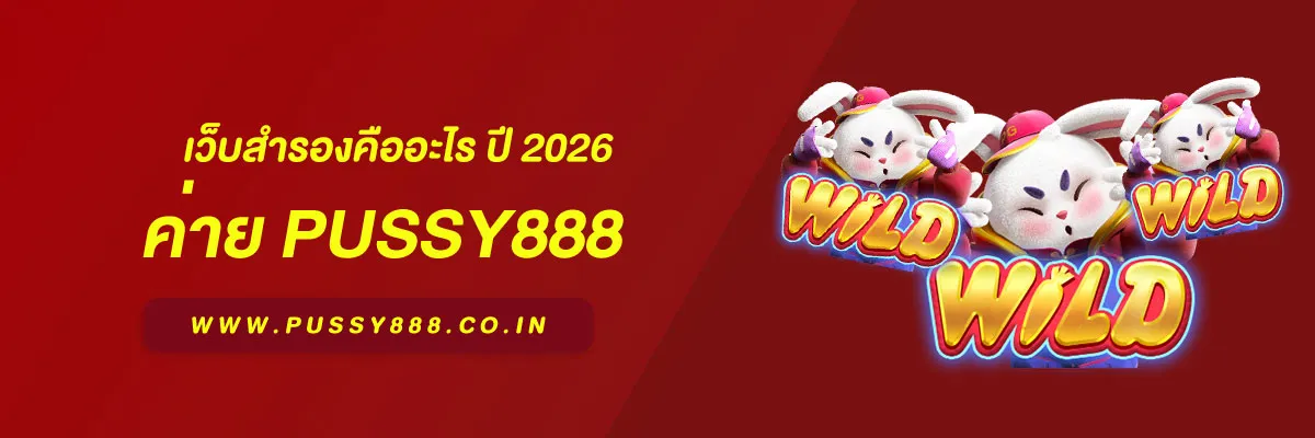 พุซซี่ 888 ทางเข้า เว็บสำรองคืออะไร ปี 2026 ทำความเข้าใจเพื่อเข้าใช้งานได้ต่อเนื่อง
