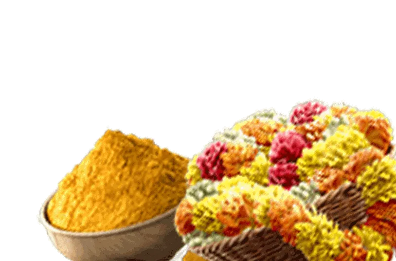 สล็อตพุชชี่ 888