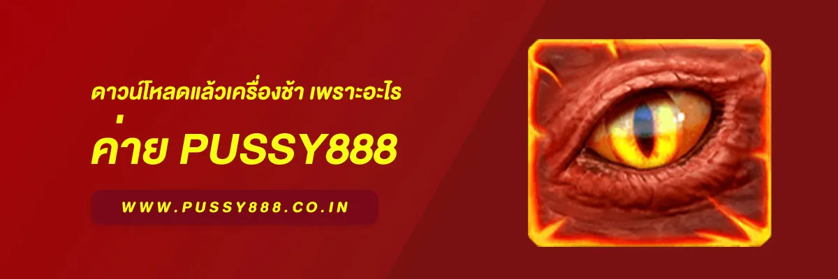 สล็อต พุชชี่888