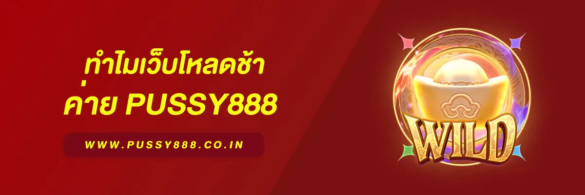 เข้าสู่ระบบพุซซี่