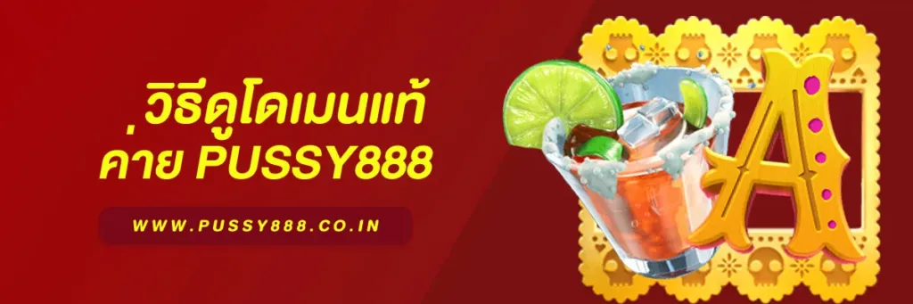 สล็อตพุชชี่ 888