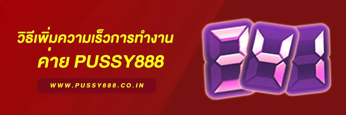 สล็อต พุชชี่888 วิธีเพิ่มความเร็วการทำงาน บทความแนะนำปี 2026