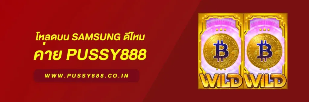 เข้าสู่ ระบบพุซซี่