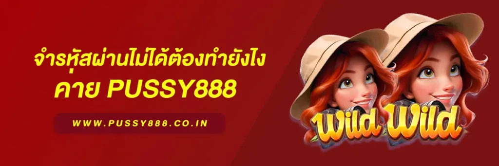 เข้าสู่ ระบบพุซซี่