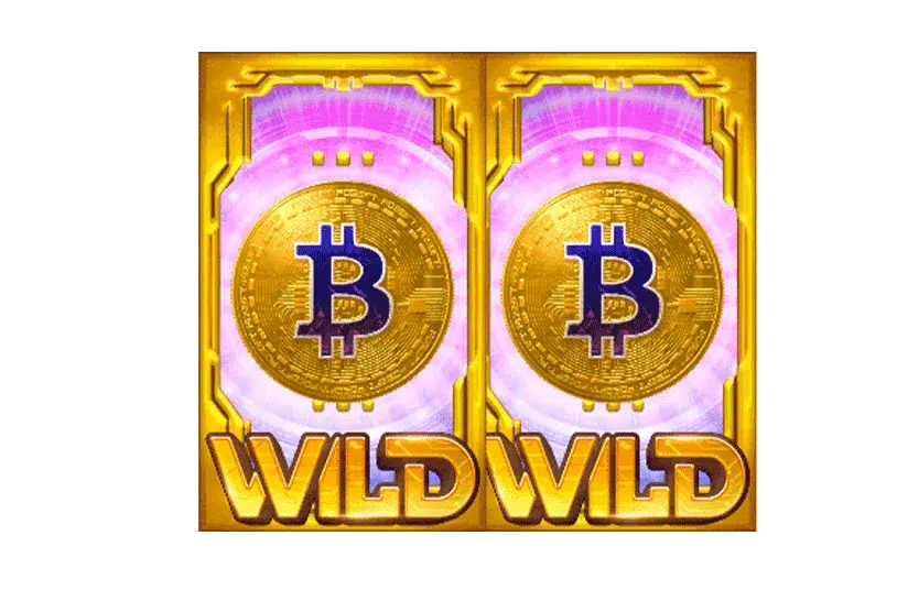 เข้าสู่ ระบบพุซซี่