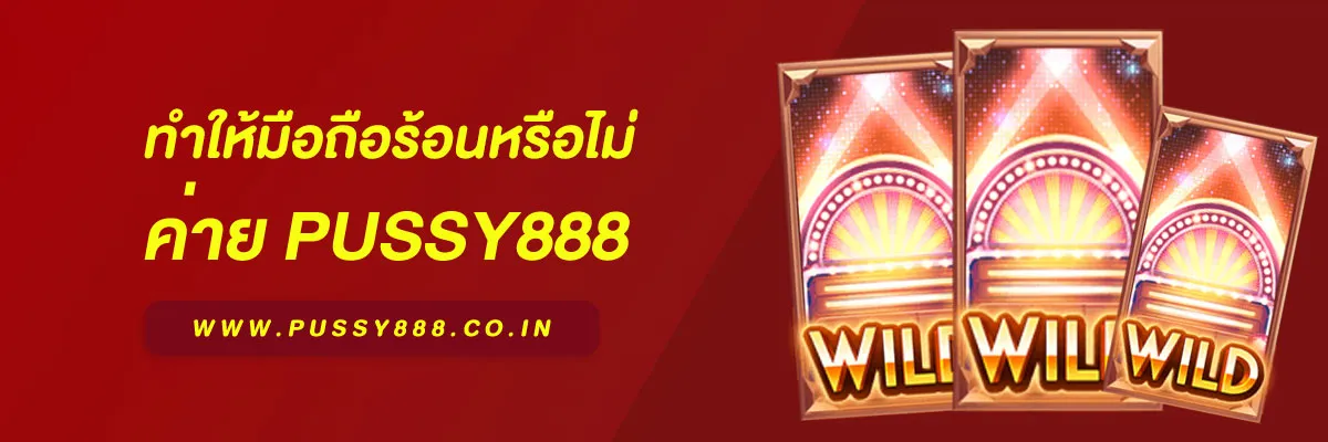 เข้าสู่ระบบ พุซซี่