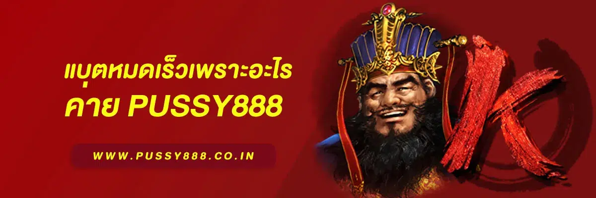 สล็อต พุชชี่888