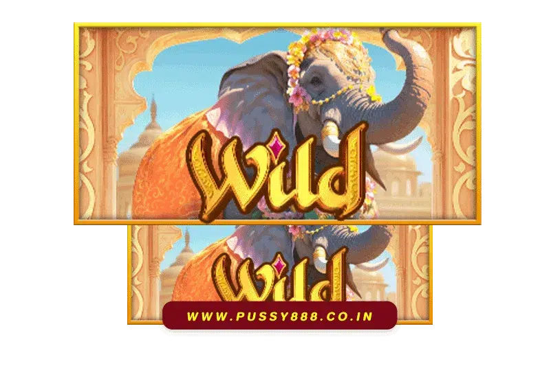 สล็อต พุชชี่888