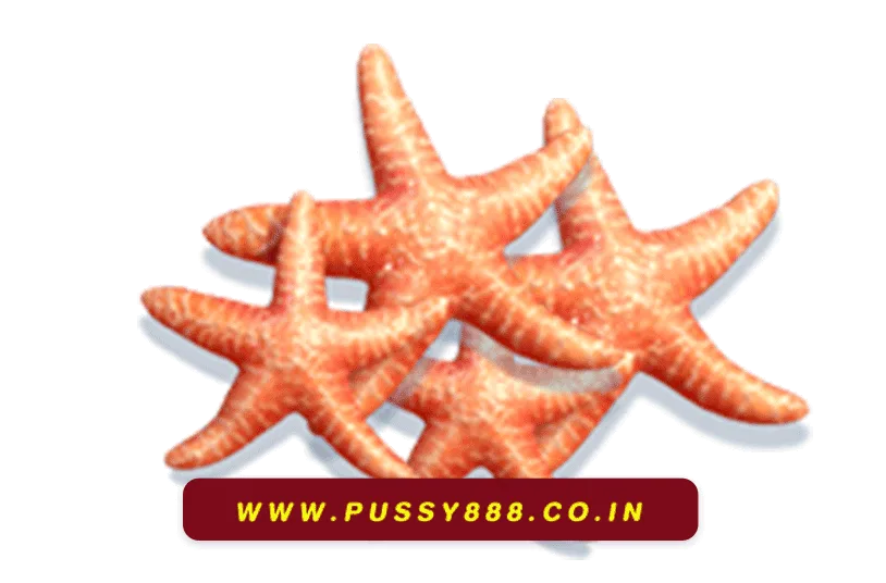 เข้าสู่ระบบพุซซี่ 888