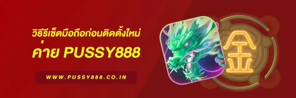 เข้า สู่ระบบพุซซี่