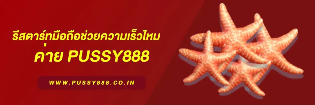 เข้าสู่ระบบพุซซี่ 888