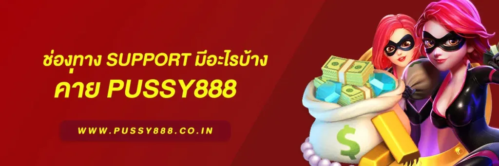 เข้าสู่ ระบบ พุซซี่