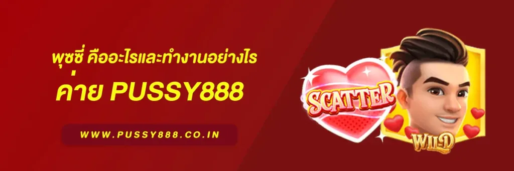 เข้าสู่ระบบ พุซซี่