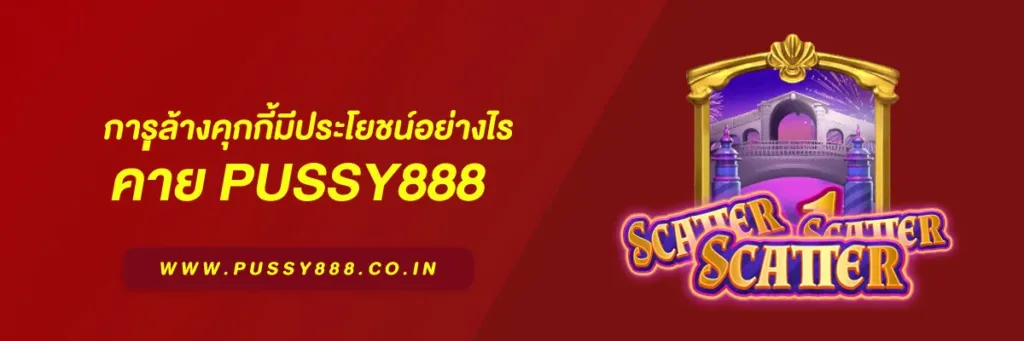 เข้าสู่ ระบบ พุซซี่