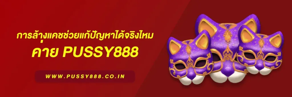 เข้า สู่ระบบพุซซี่