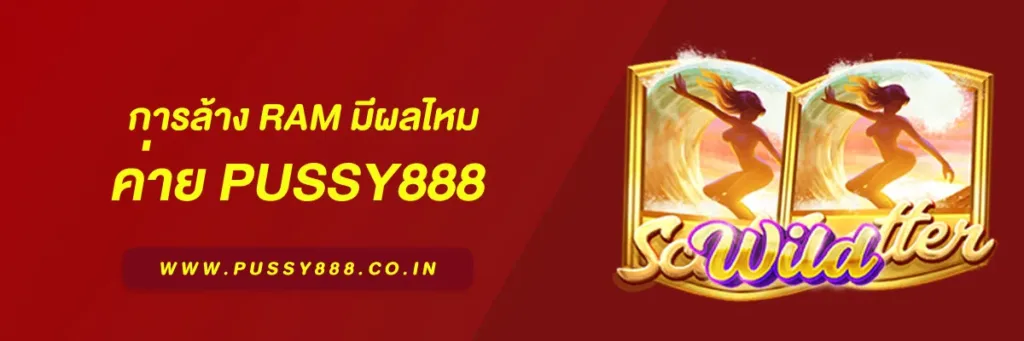 เข้าสู่ ระบบพุซซี่