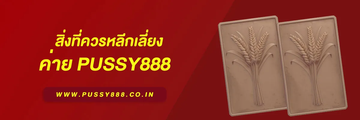 เข้าสู่ระบบ พุซซี่ สิ่งที่ควรหลีกเลี่ยง บทความคำแนะนำปี 2026