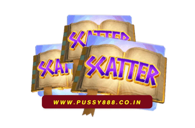 เข้า สู่ ระบบพุซซี่