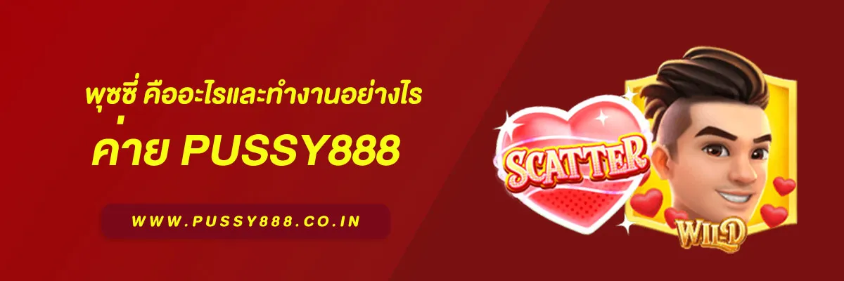 เข้าสู่ระบบ พุซซี่