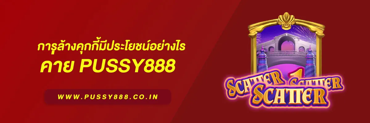 เข้าสู่ ระบบ พุซซี่