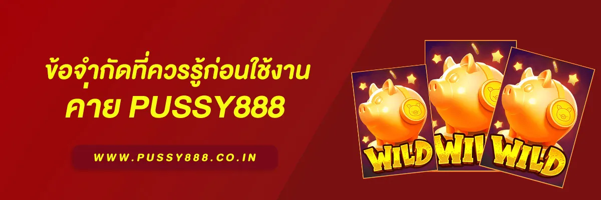 เข้าสู่ ระบบ พุซซี่