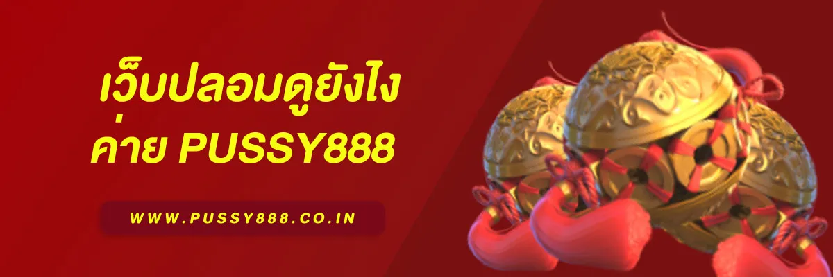 เข้าสู่ ระบบ พุซซี่