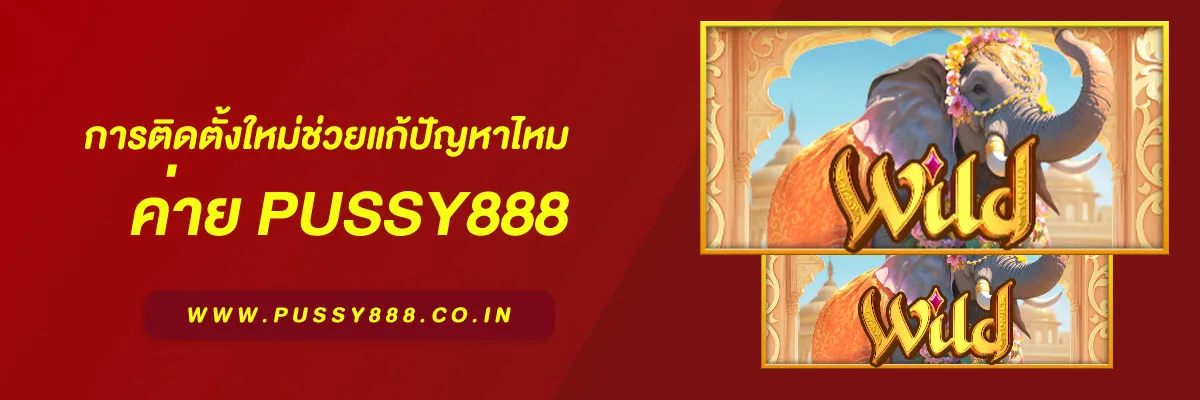 สล็อต พุชชี่888