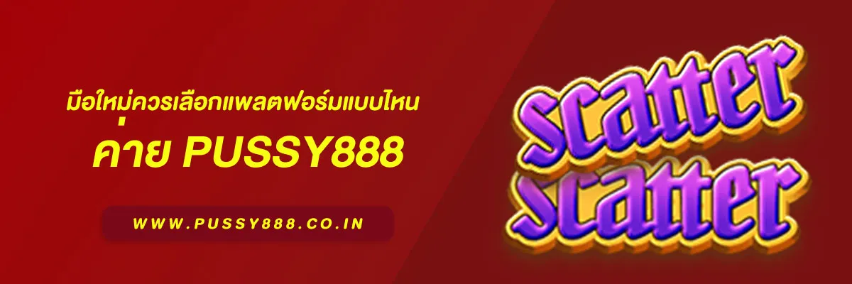 เว็บตรง pussy888
