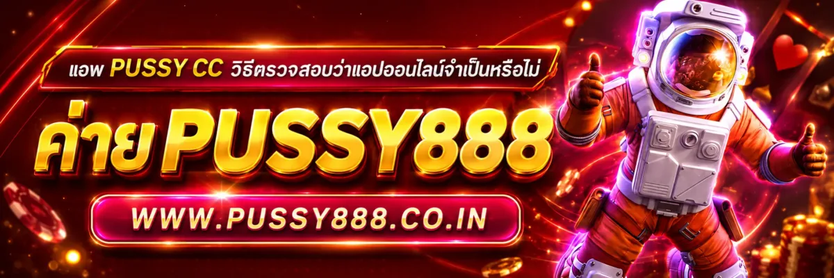 แอพ PUSSY cc วิธีตรวจสอบว่าแอปออนไลน์ขอสิทธิ์การเข้าถึงเกินจำเป็นหรือไม่